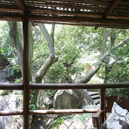 Little Forest Guest House Йоханесбург Екстериор снимка