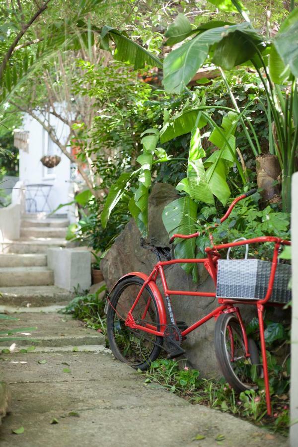 Little Forest Guest House Йоханесбург Екстериор снимка