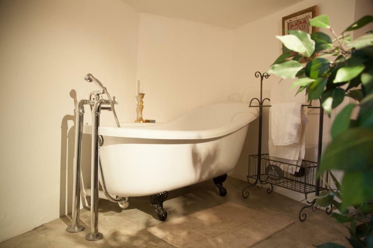 Little Forest Guest House Йоханесбург Екстериор снимка